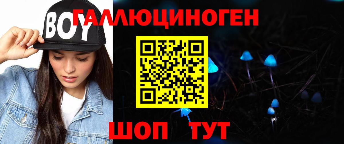 Псилоцибиновые грибы ЛСД  Галлюциногенные грибы мухоморы  Вход с VPN  Осинники 